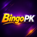 BingoPK Game mobile app interface for Pakistani Android users