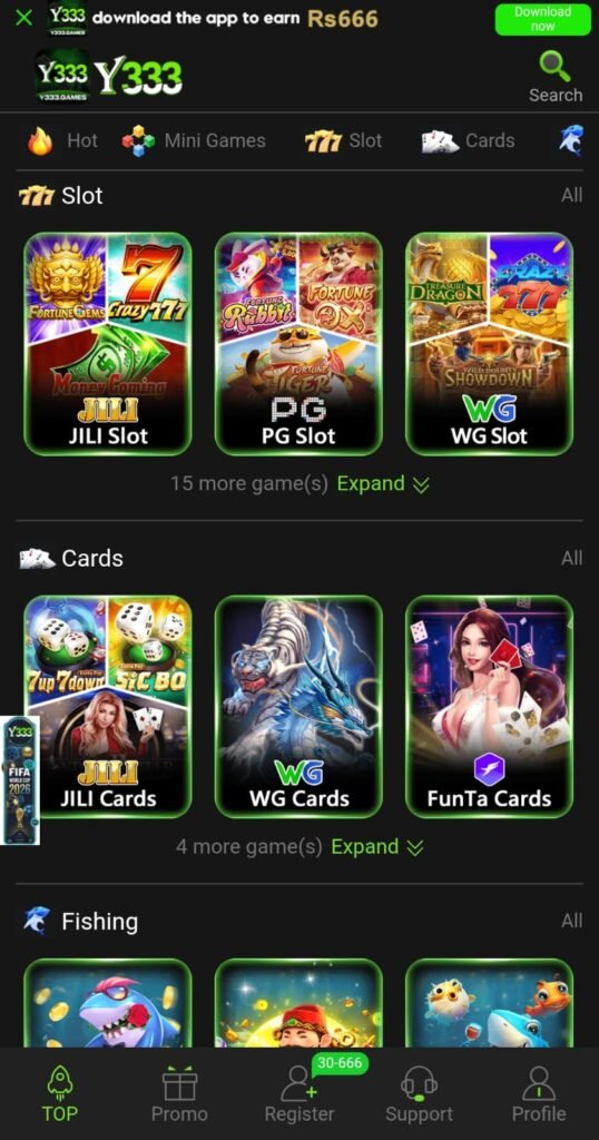 Y333 Game