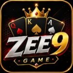 ZEE9 Game